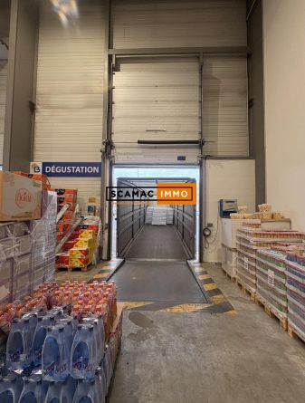Location Local d'activités 1113 m² non divisibles