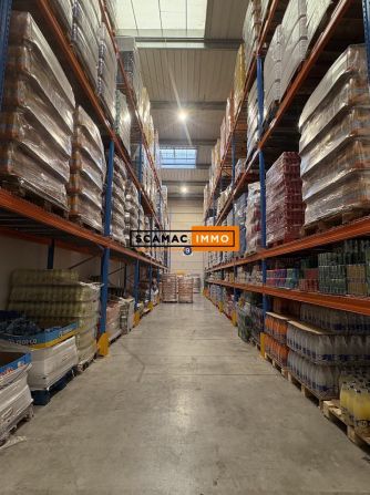 Location Local d'activités 2244 m² non divisibles