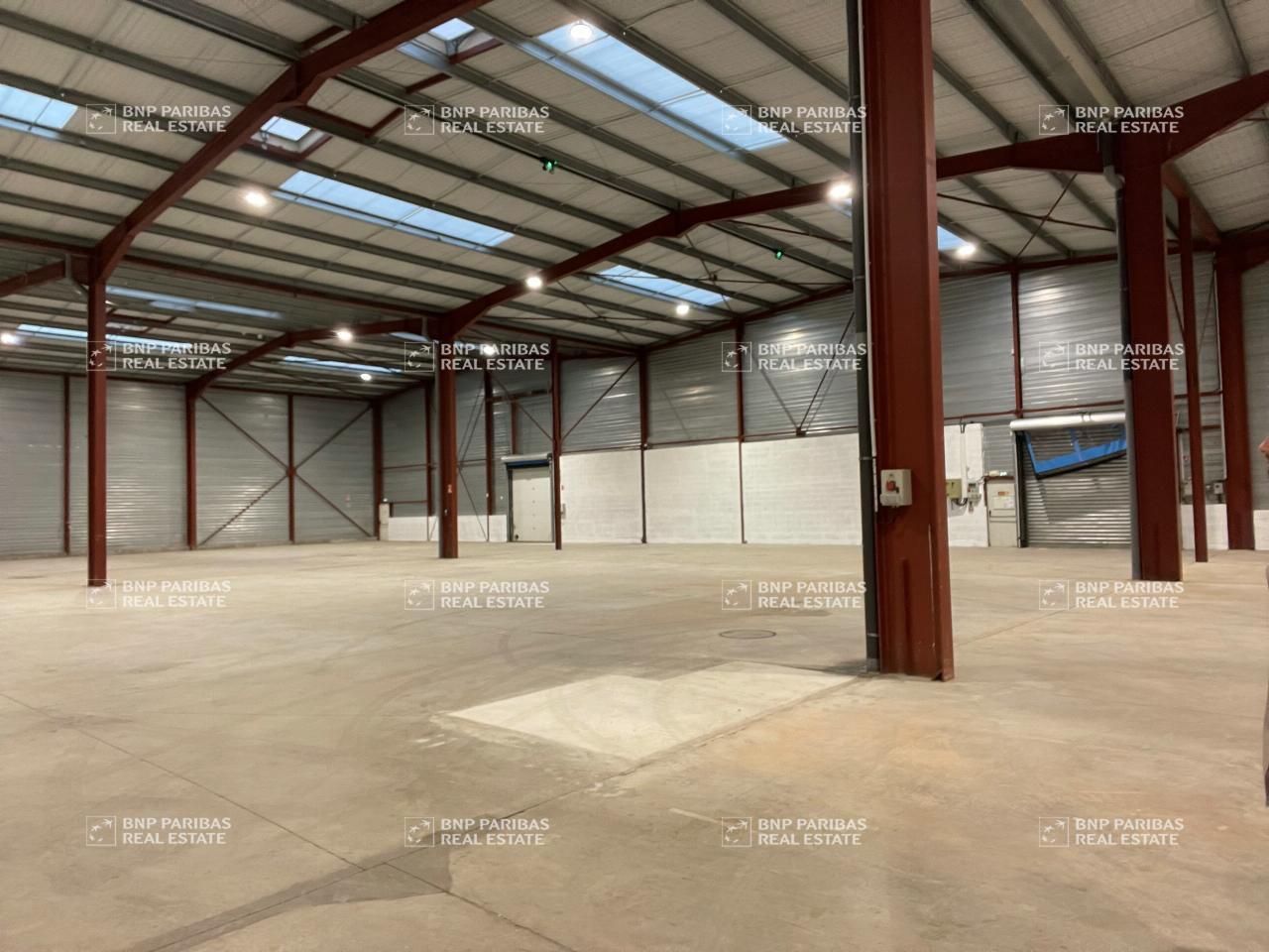 Location Activité 3603 m² non divisibles 01700 Miribel