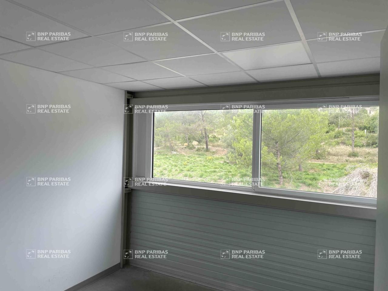 Location activité à La ciotat 13600