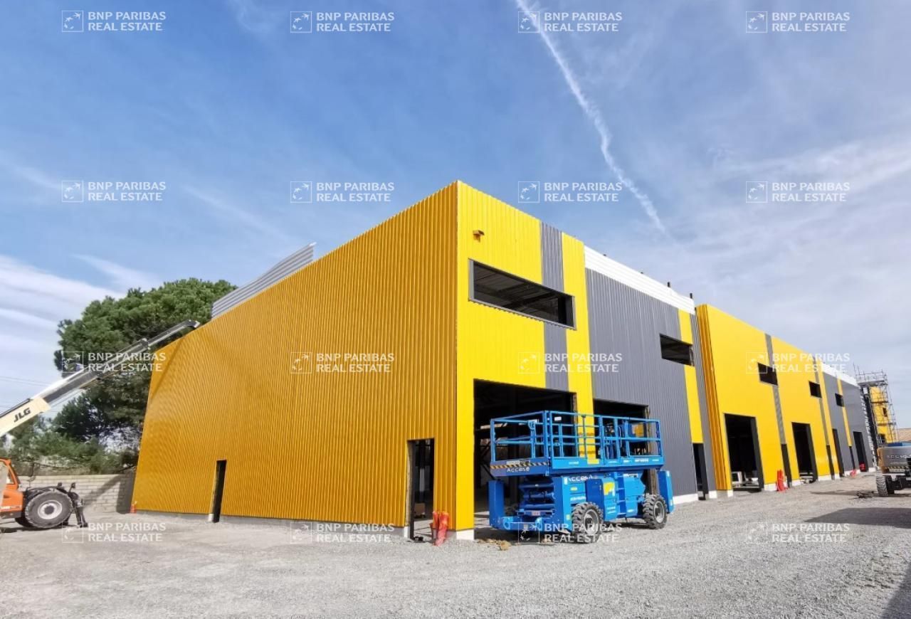 Location Activité 1424.9 m² divisibles 34400 Lunel