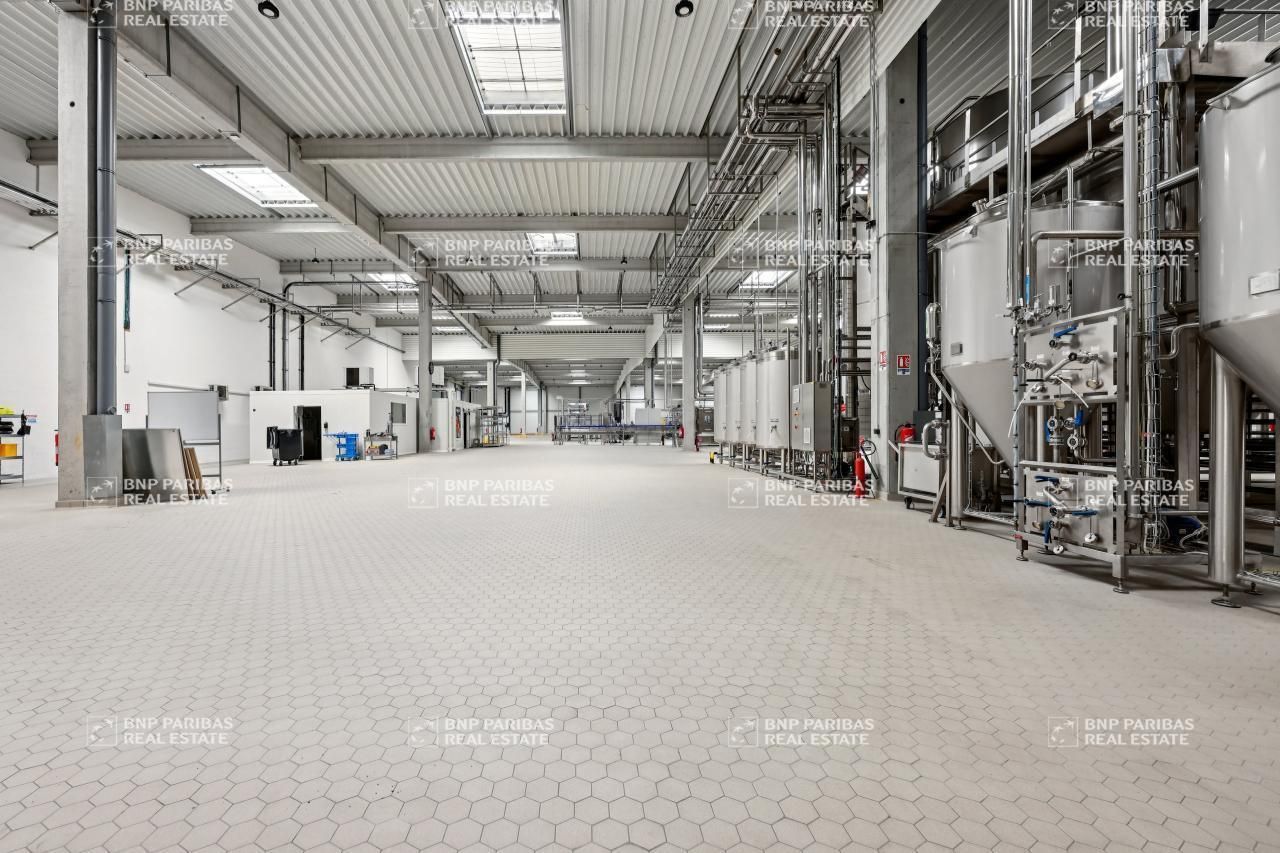 6088 m² pour ce activité en location à Sucy-en-brie