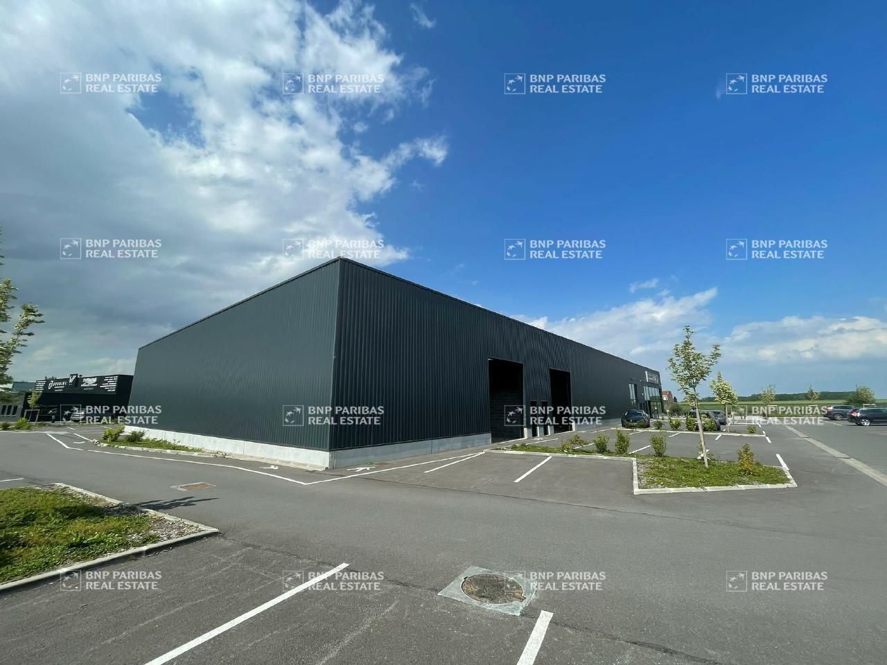 1000 m² pour ce activité en vente à Annoeullin