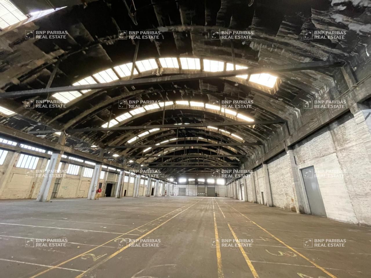 8800 m² pour ce activité en vente à Sin-le-noble