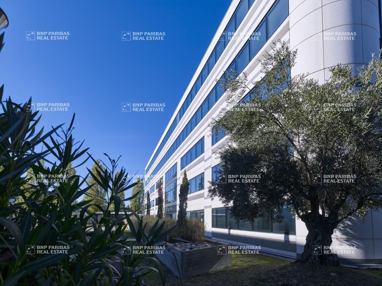 Location bureaux à Blagnac 31700