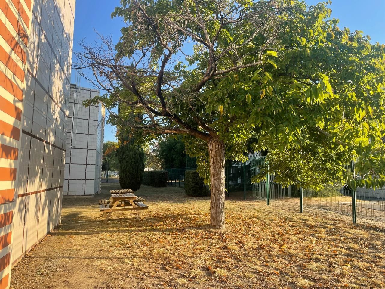 144 m² pour ce bureaux en location à Toulouse