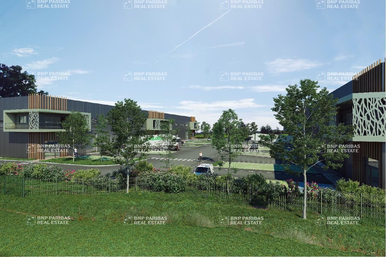 Location Activité 7162 m² divisibles 34130 Mauguio