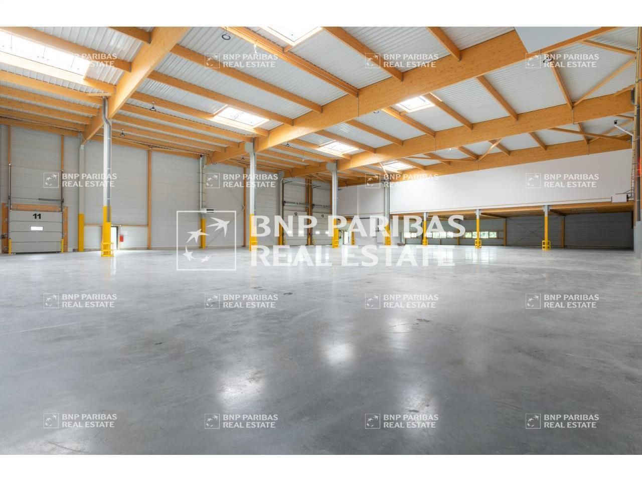 Location PME-PMI 3287 m² divisibles 77170 Brie-comte-robert