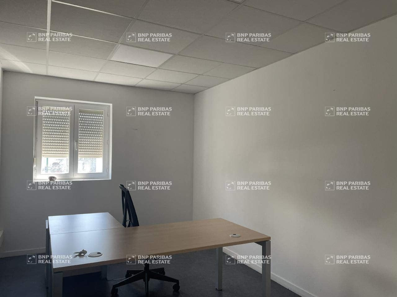 Location Activité 1385 m² non divisibles 45140 Ingre