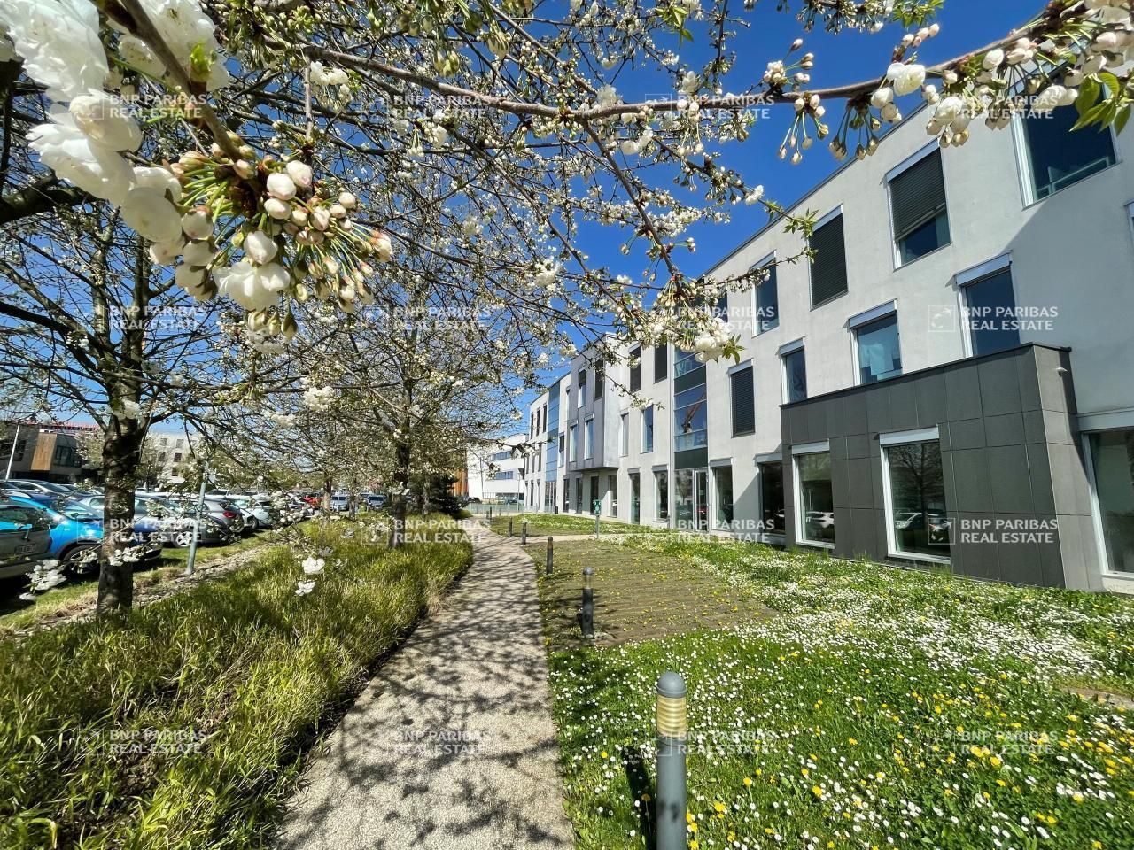 Location bureaux à Schiltigheim 67300