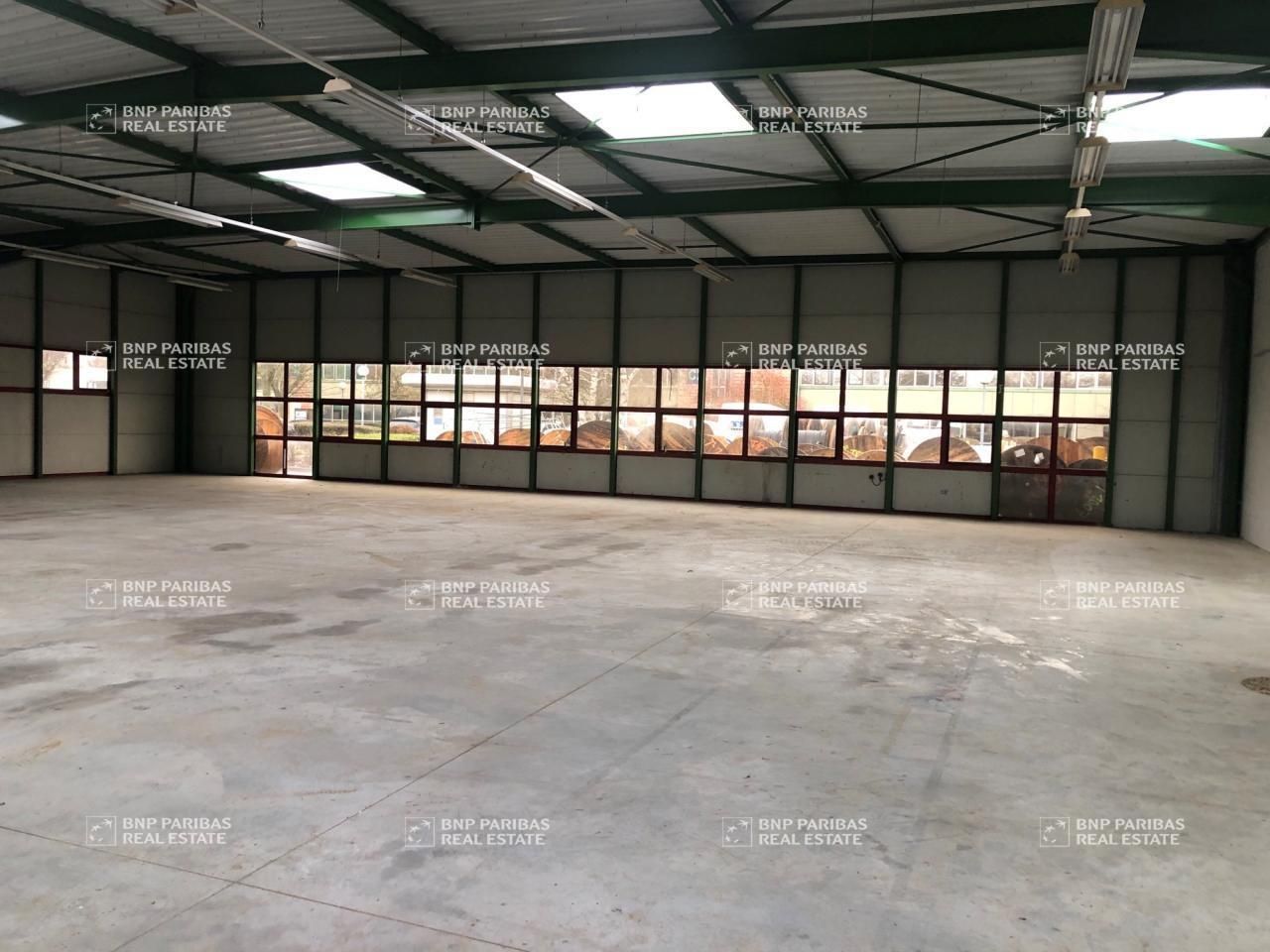 905.44 m² pour ce pme-pmi en location à Saint-thibault-des-vignes