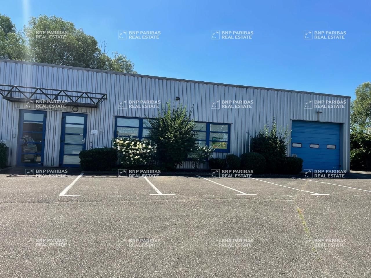 552 m² pour ce activité en vente à Geispolsheim