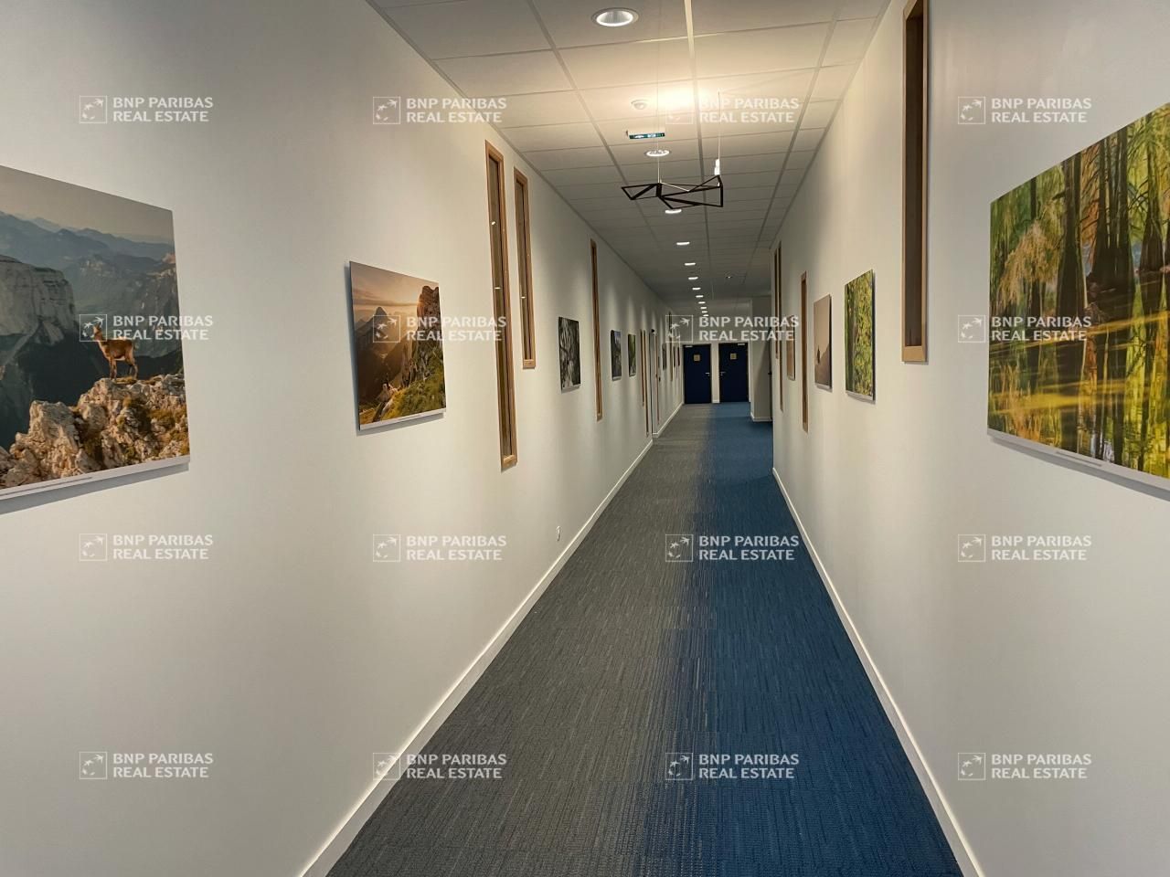 3645 m² pour ce bureaux en location à Eybens