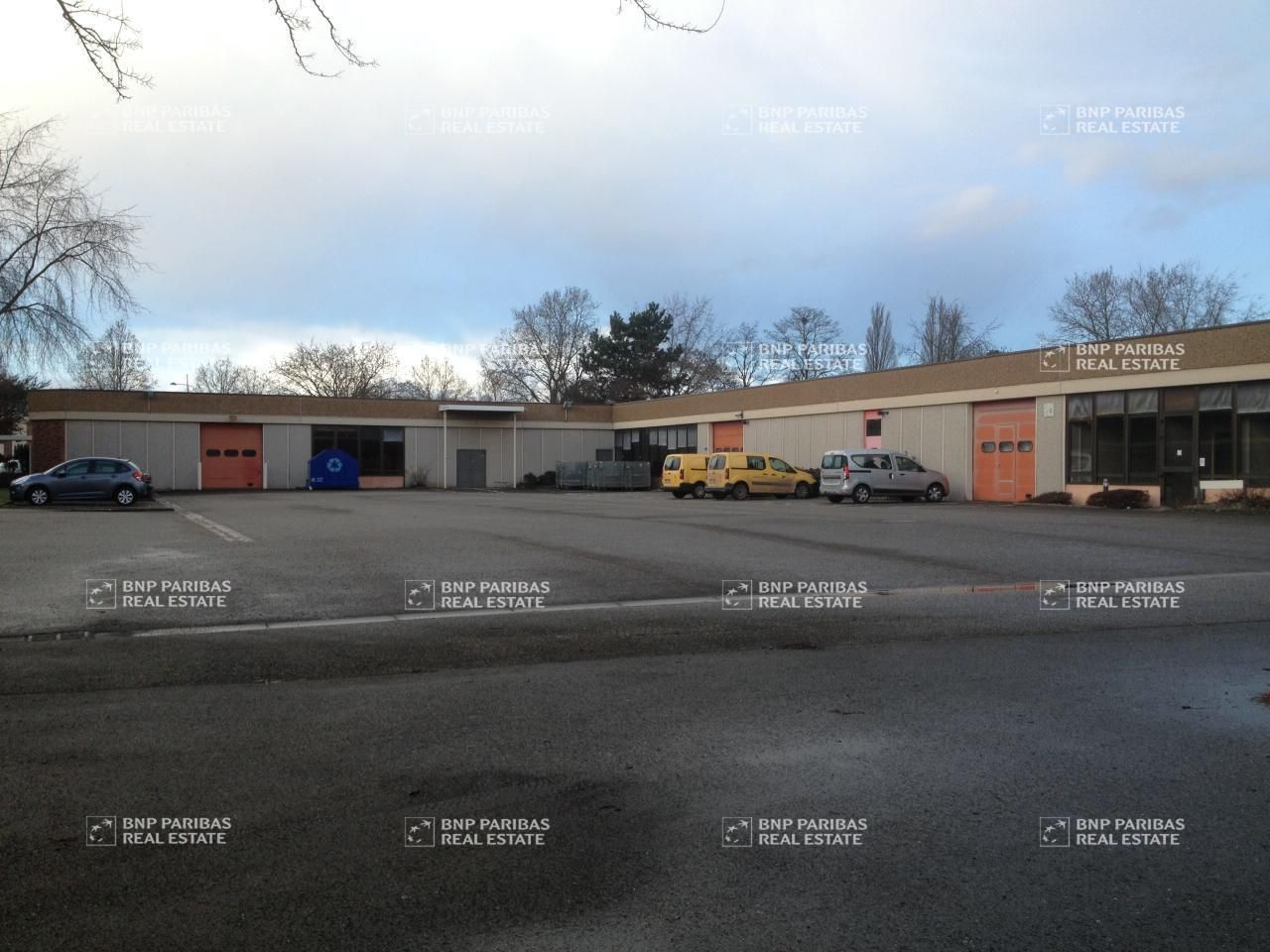 Location Activité 1922.5 m² divisibles 67380 Lingolsheim