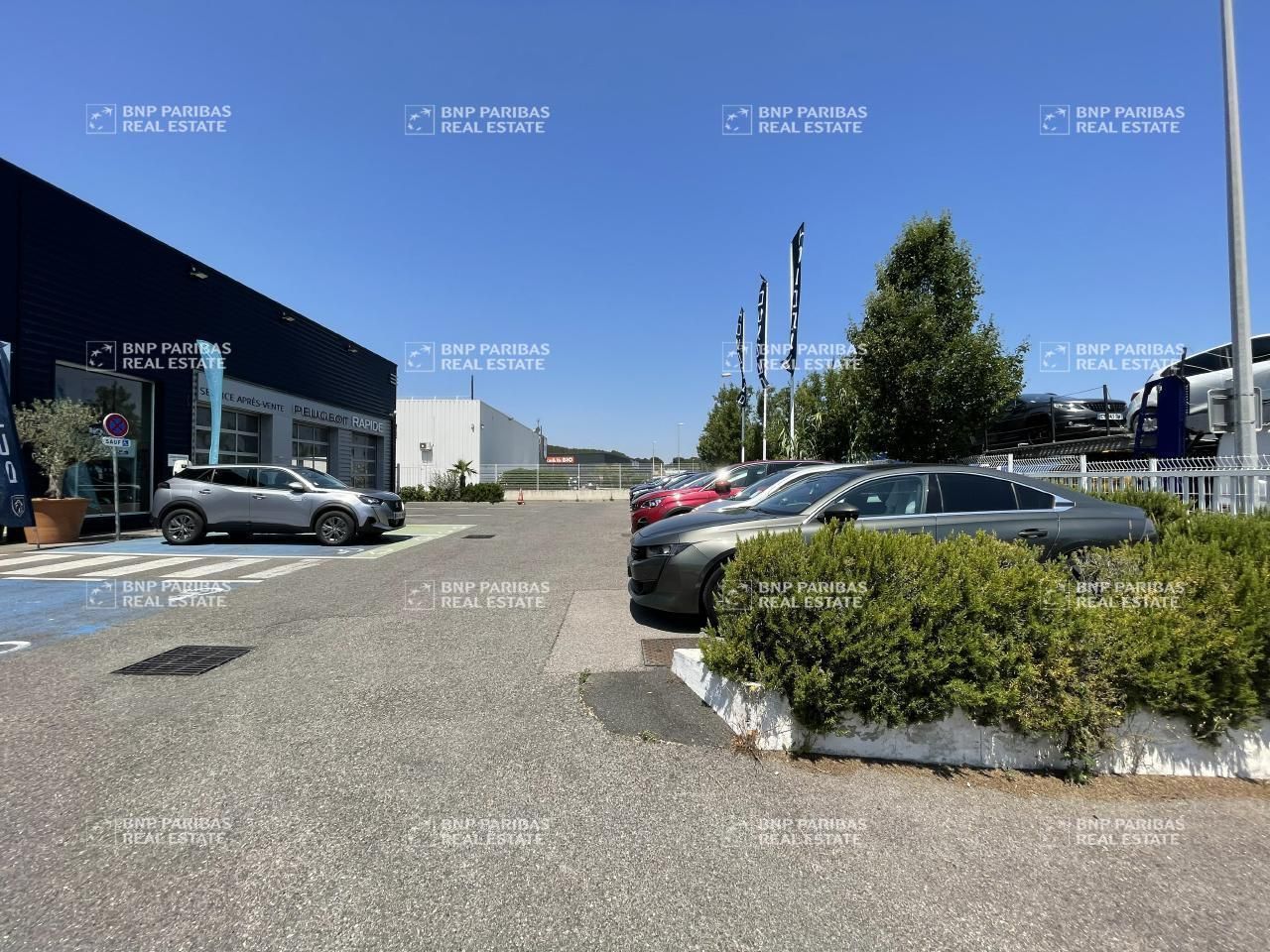 Location Local commercial 1024 m² non divisibles 13920 Saint mitre les remparts