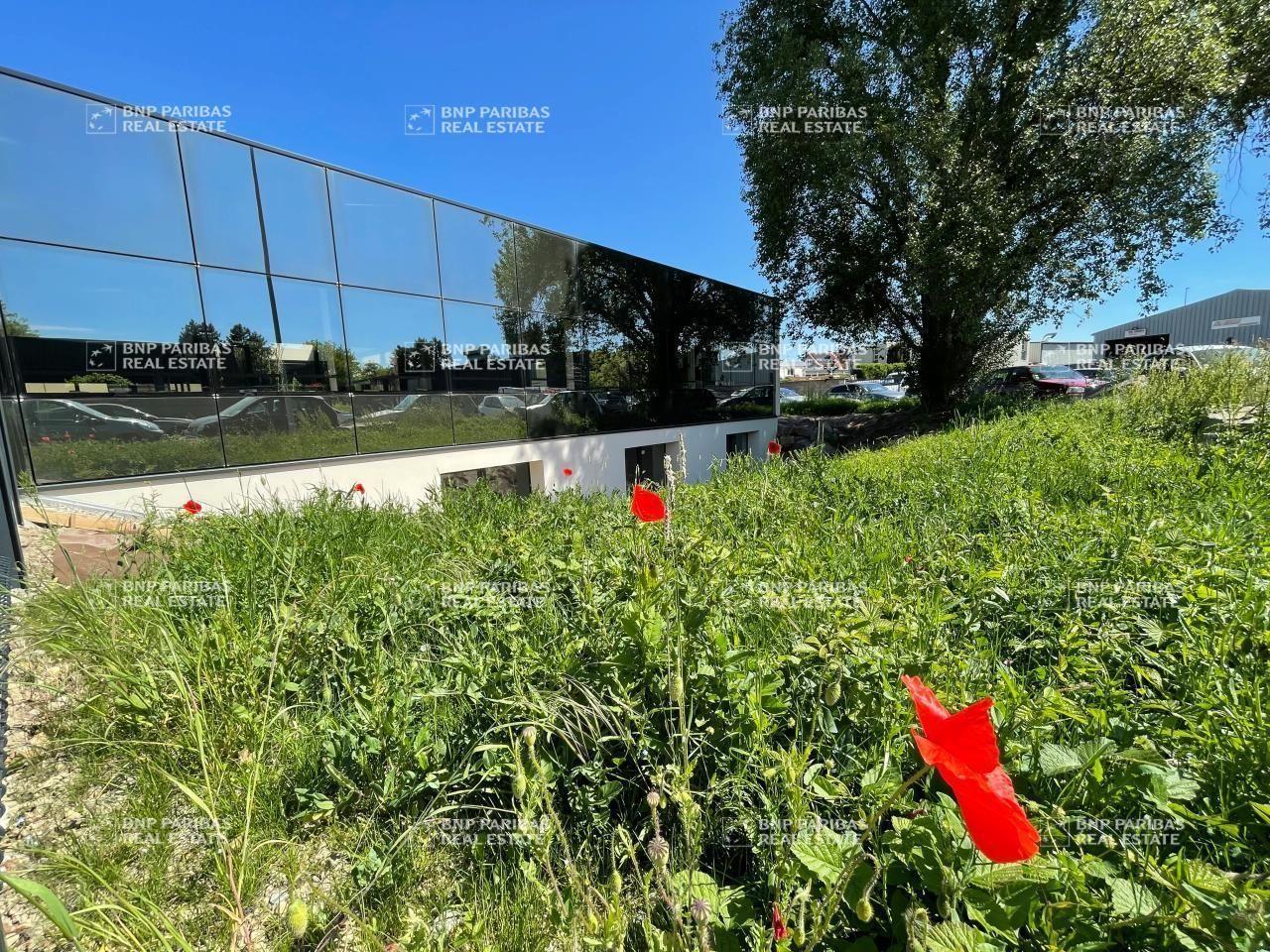 475 m² pour ce bureaux en location à Illkirch-graffenstaden