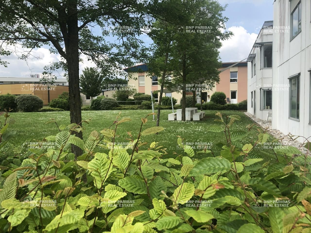 329.24 m² pour ce bureaux en vente à Villers-lès-nancy