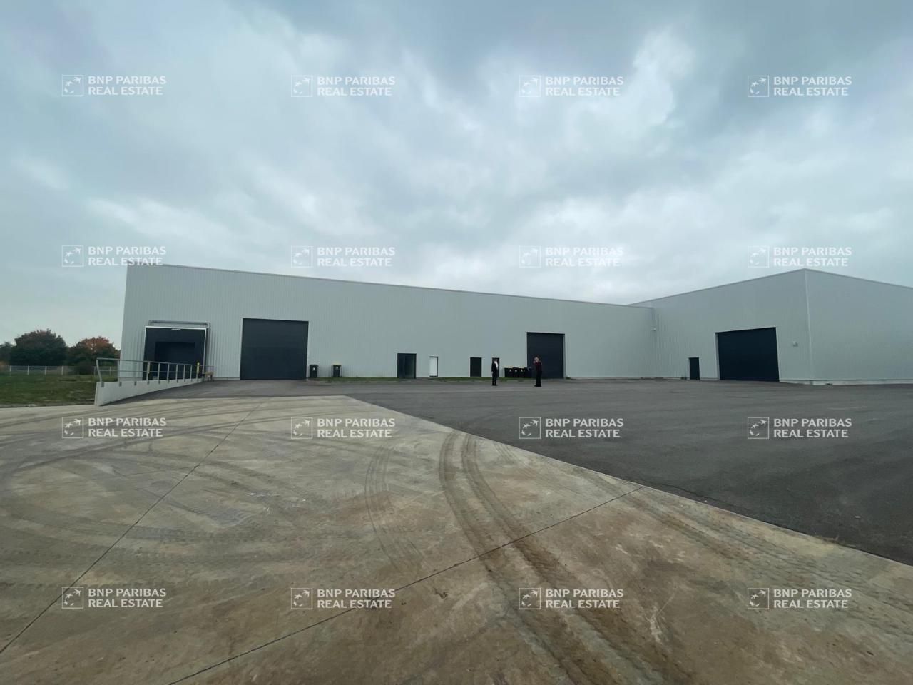 Location Activité 2800 m² non divisibles 59230 Sars-et-rosières