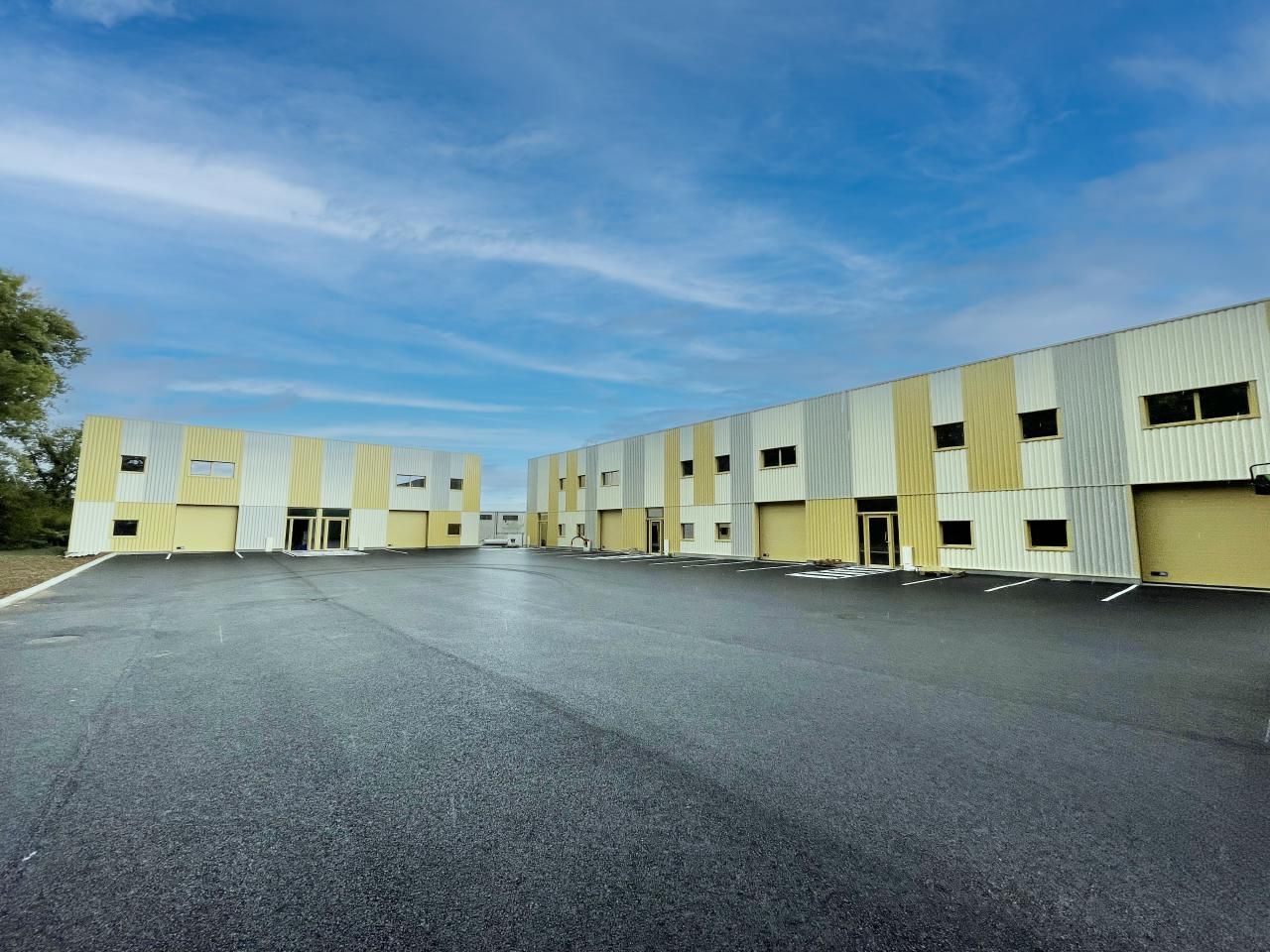 Vente Activité 1434 m² divisibles 69230 Saint-genis-laval