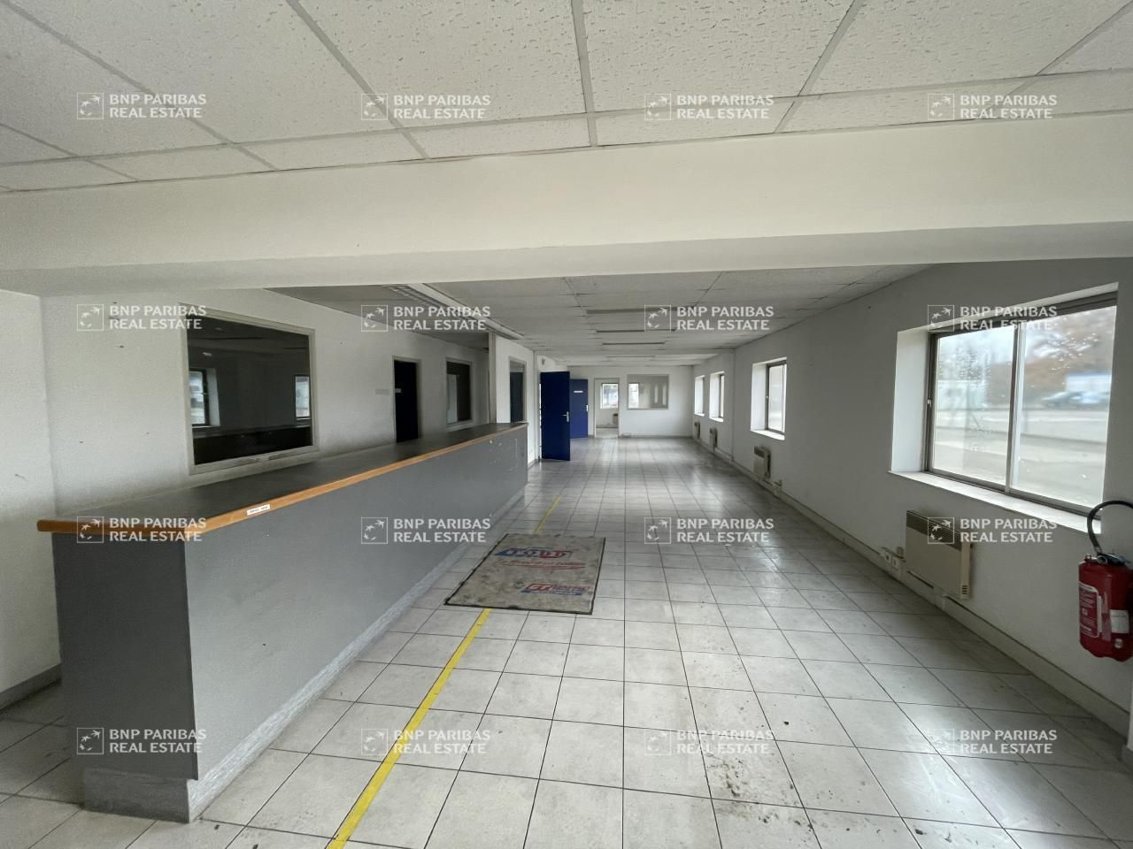 Vente activité à Fegersheim 67640