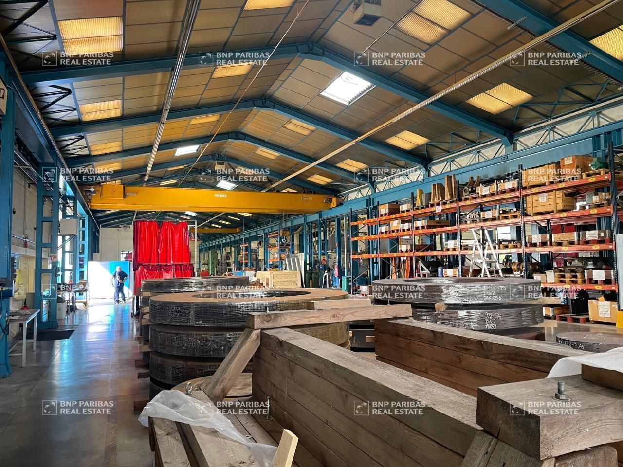 Vente Activité 4185 m² non divisibles 01480 Jassans-riottier