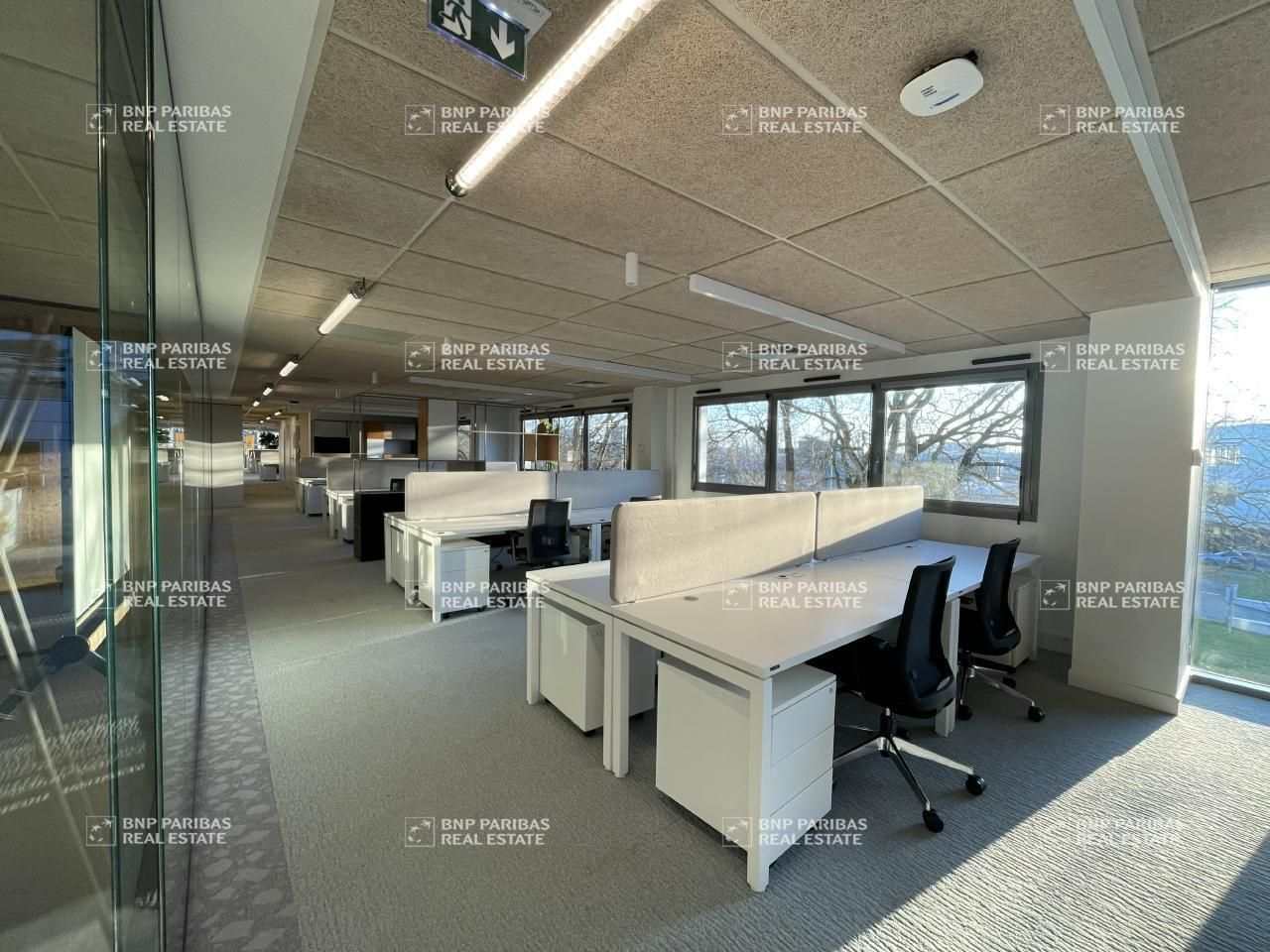 5405.64 m² pour ce bureaux en location à Saint-herblain