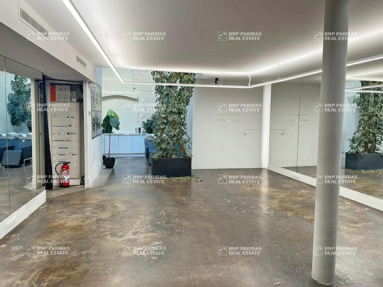 196.5 m² pour ce bureaux en vente à Paris