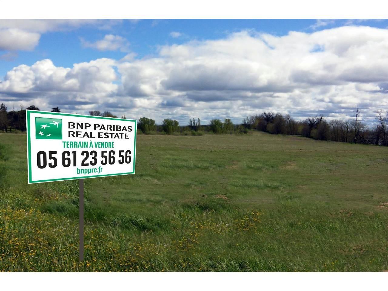 Vente Terrains 32204 m² divisibles 31120 Roques