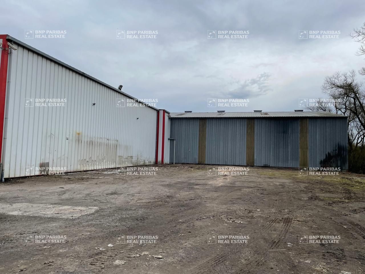 1275 m² pour ce activité en vente à Bertrange