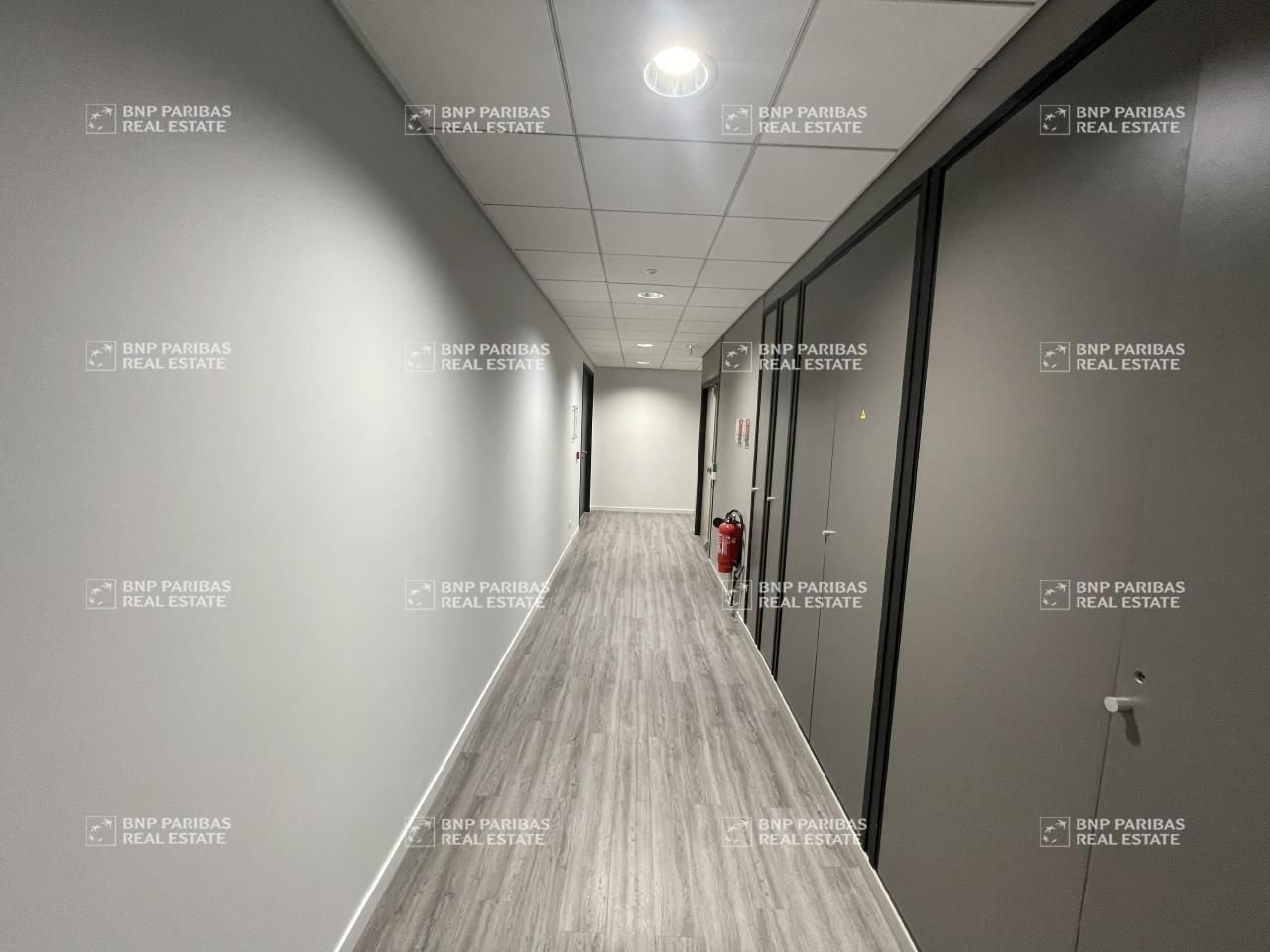 1699 m² pour ce bureaux en location à Balma