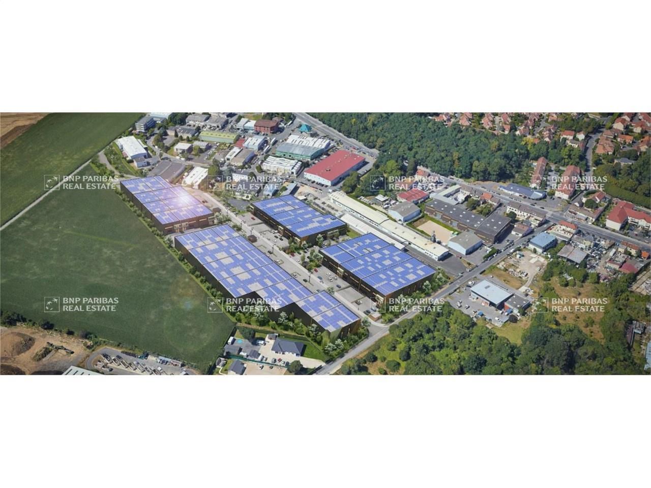 Location PME-PMI 5396.93 m² divisibles 94510 La queue-en-brie