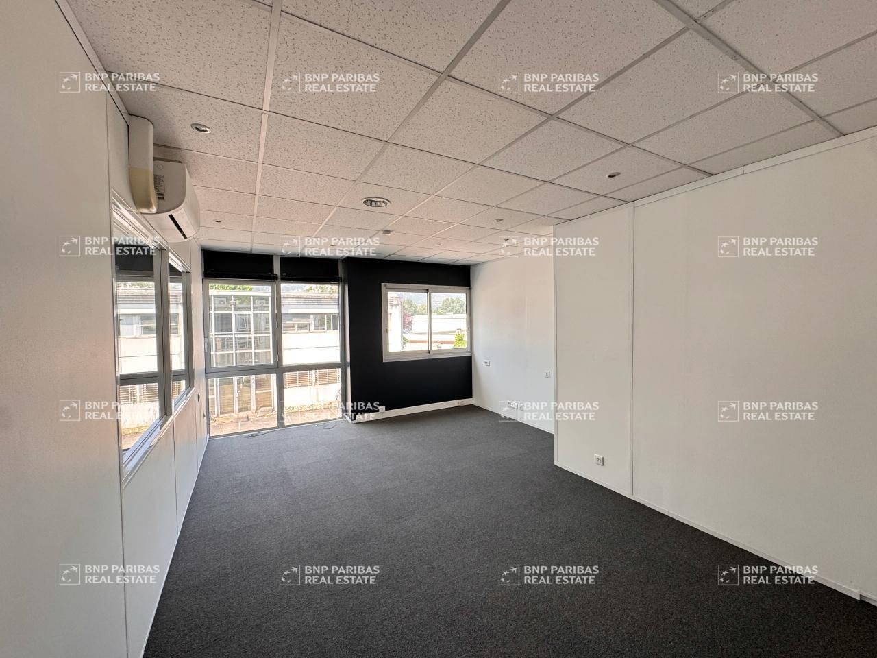 Vente bureaux à Saint-martin-le-vinoux 38950