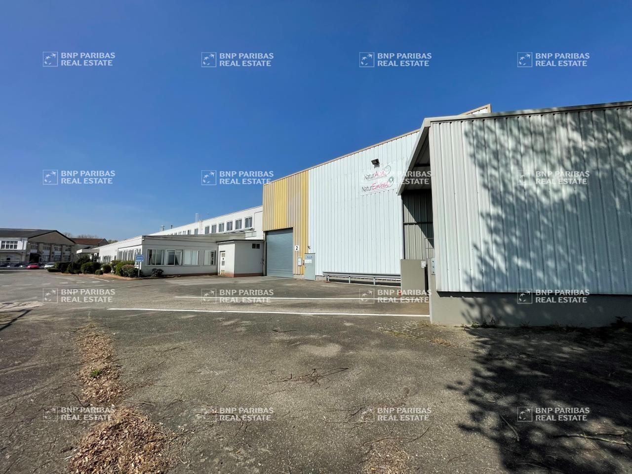 11500 m² pour ce activité en vente à Schweighouse-sur-moder