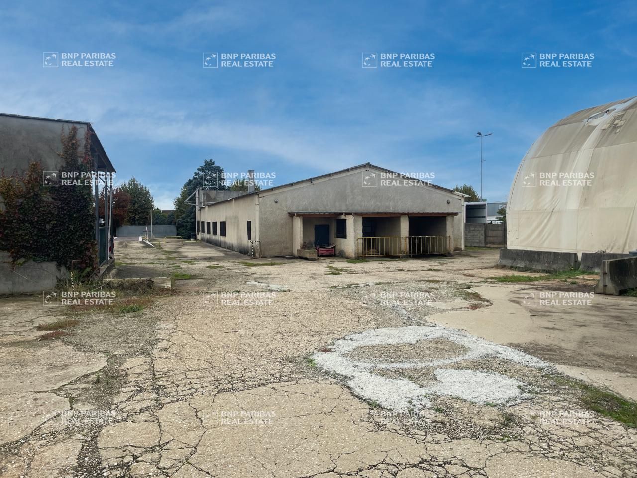 Vente Activité 900 m² non divisibles 69720 Saint-laurent-de-mure