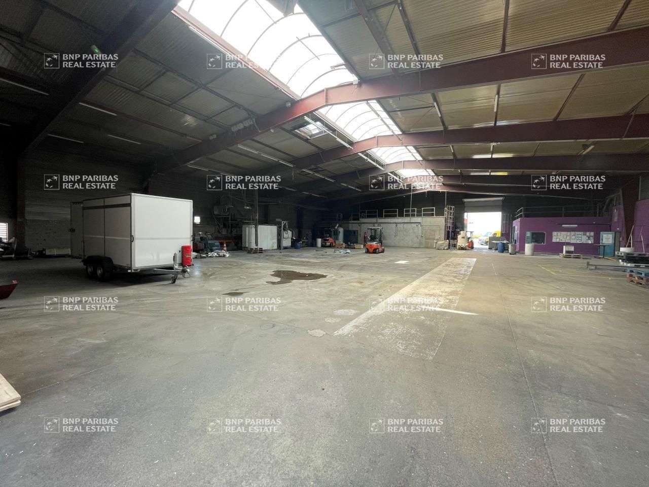 Location Activité 4405 m² non divisibles 67130 Lutzelhouse