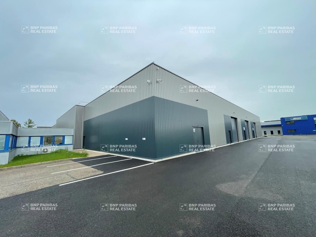 Location Activité 616 m² divisibles 67720 Hœrdt