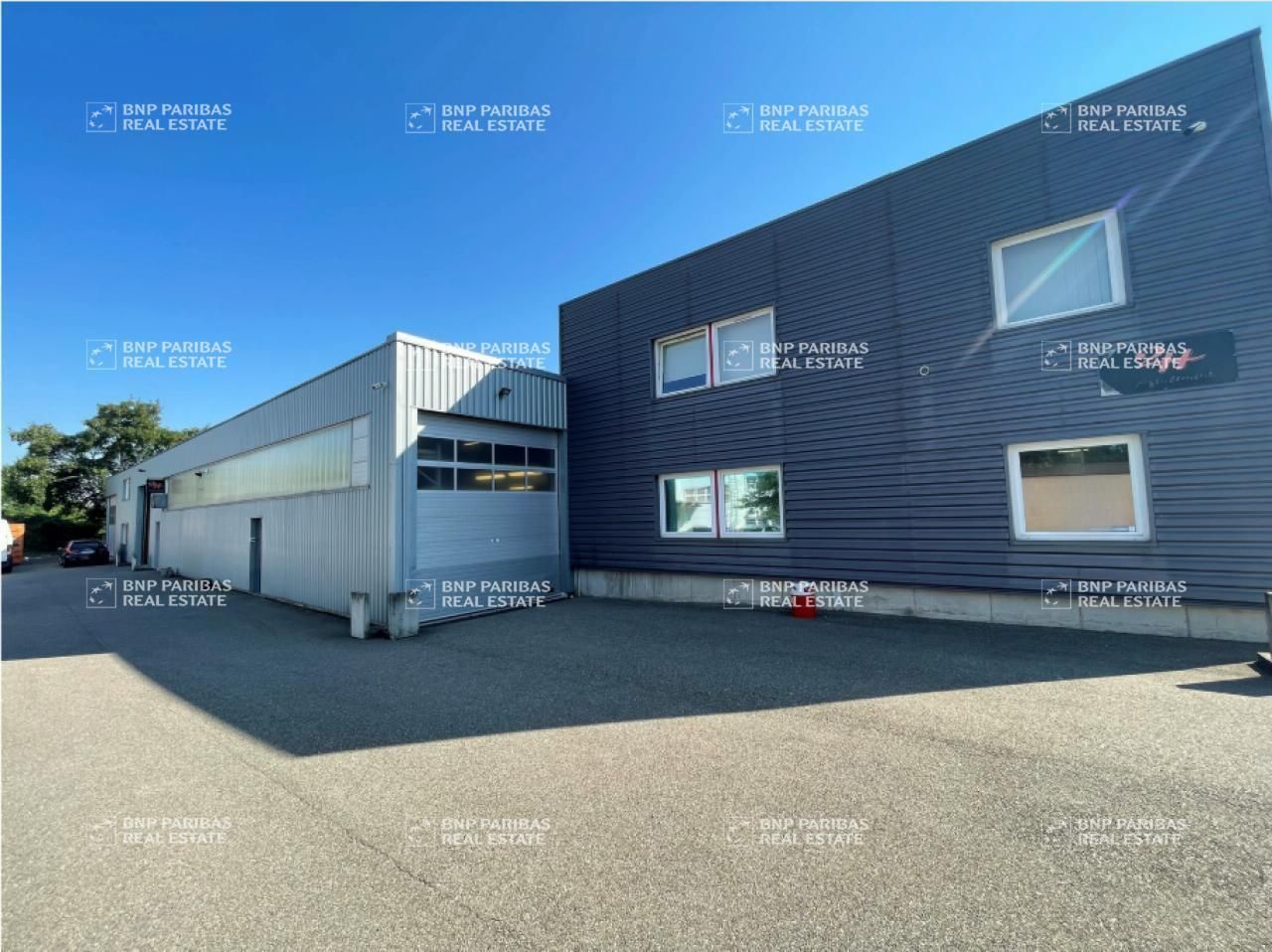 Vente Activité 940 m² non divisibles 67800 Hoenheim