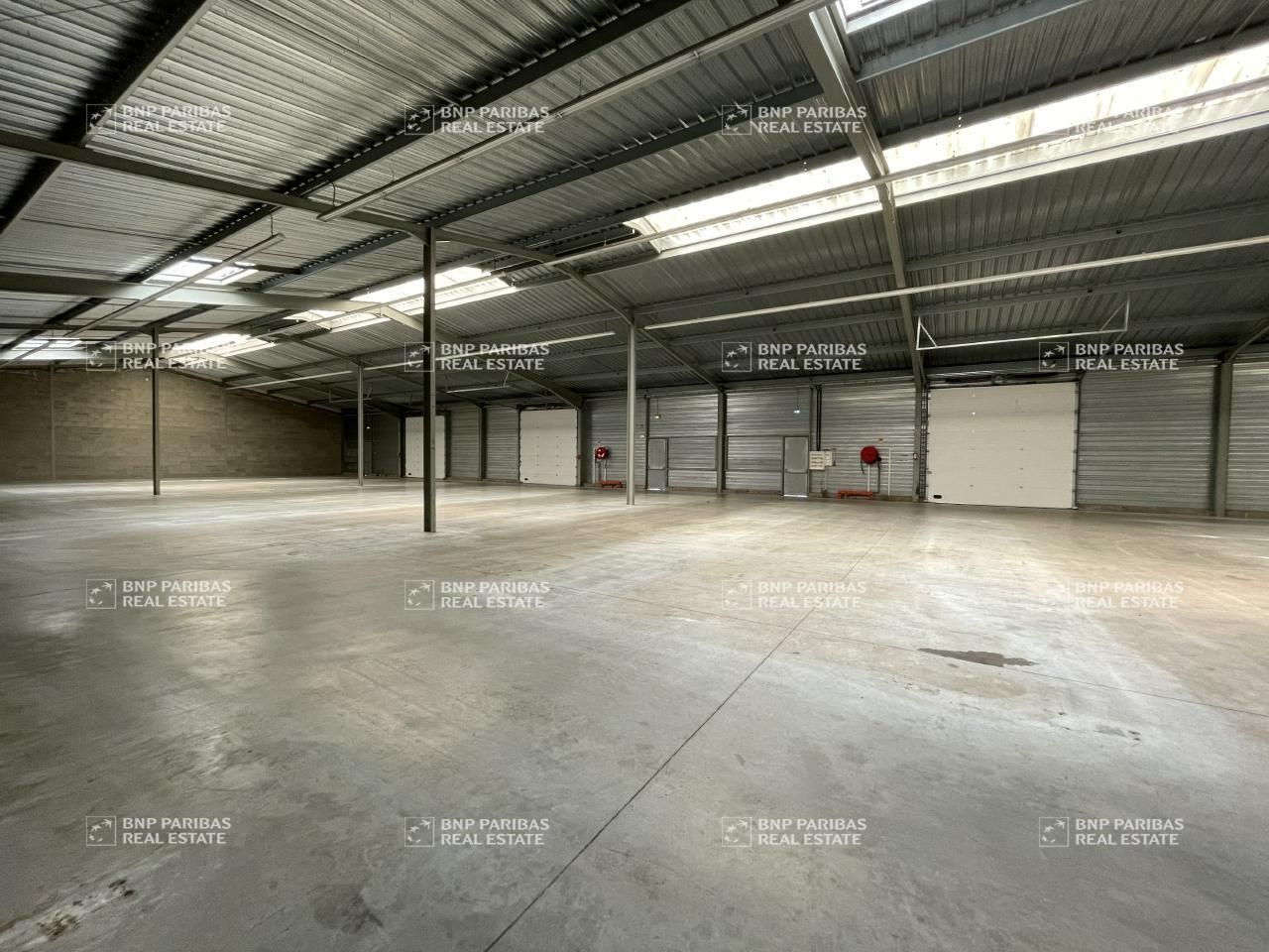 Vente Activité 1320 m² non divisibles 37390 Notre-dame-d'oé