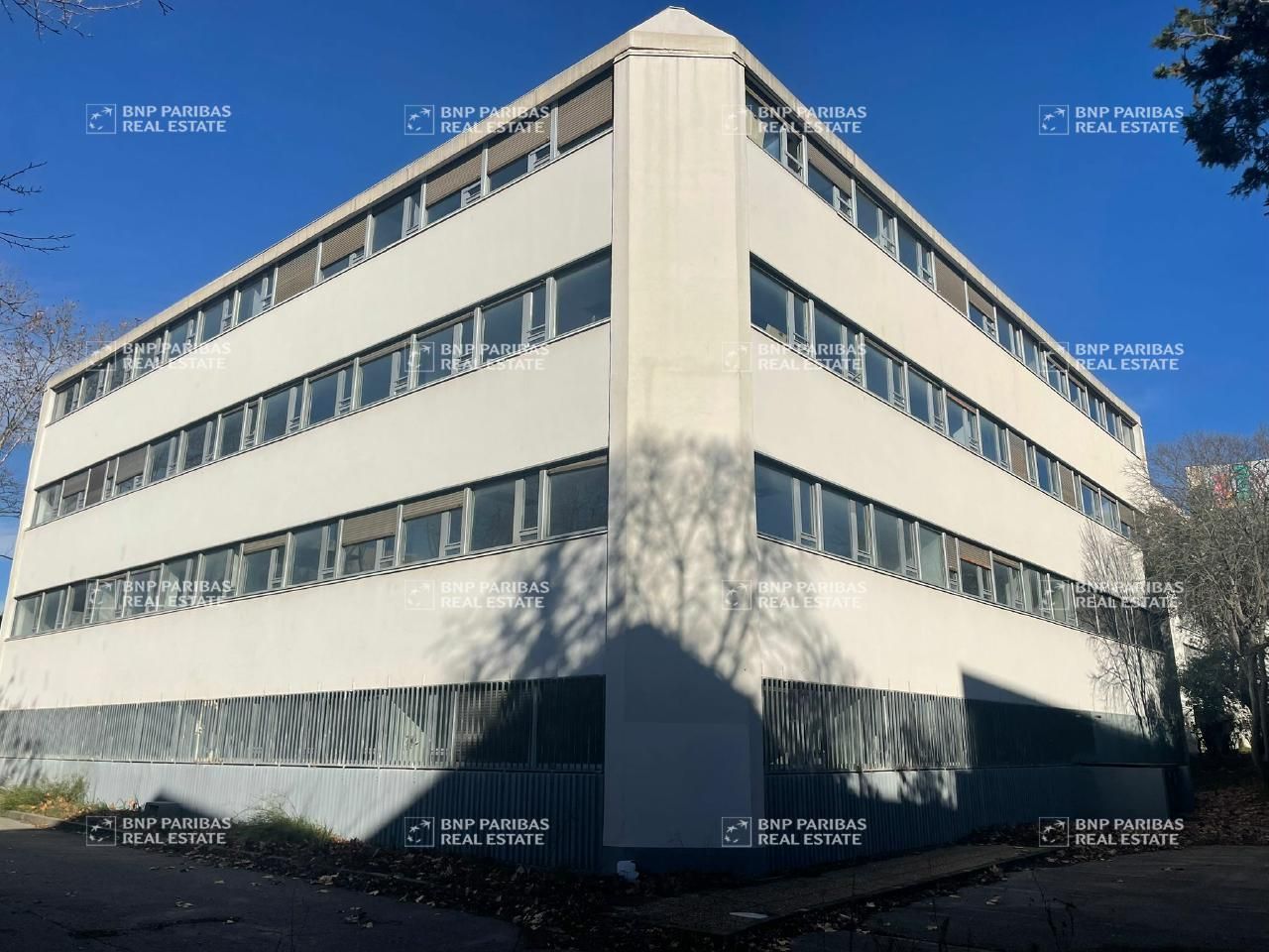 Vente Bureaux 3124.98 m² divisibles 34000 Montpellier