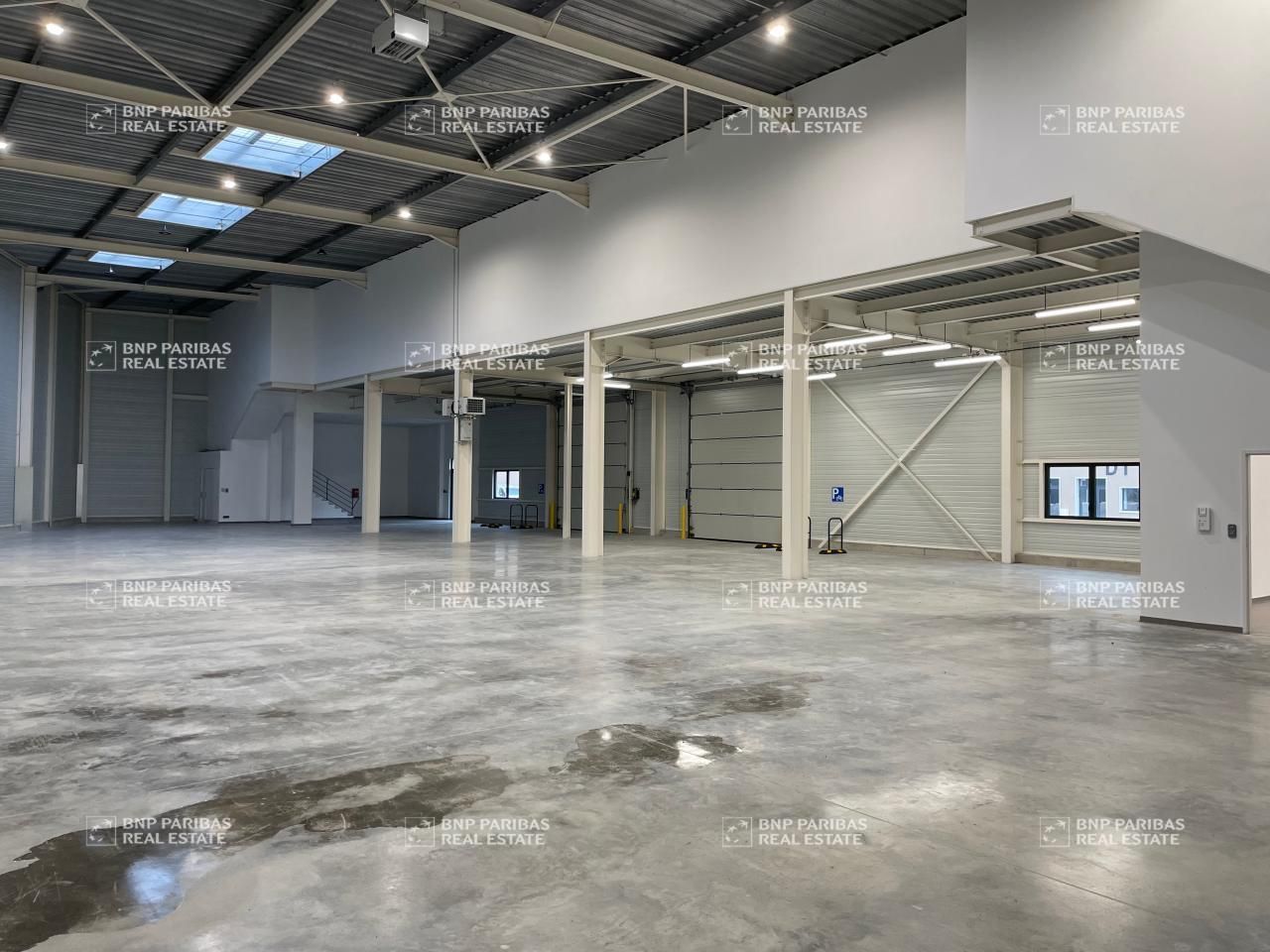 Location d'un activité disponibilité immédiate