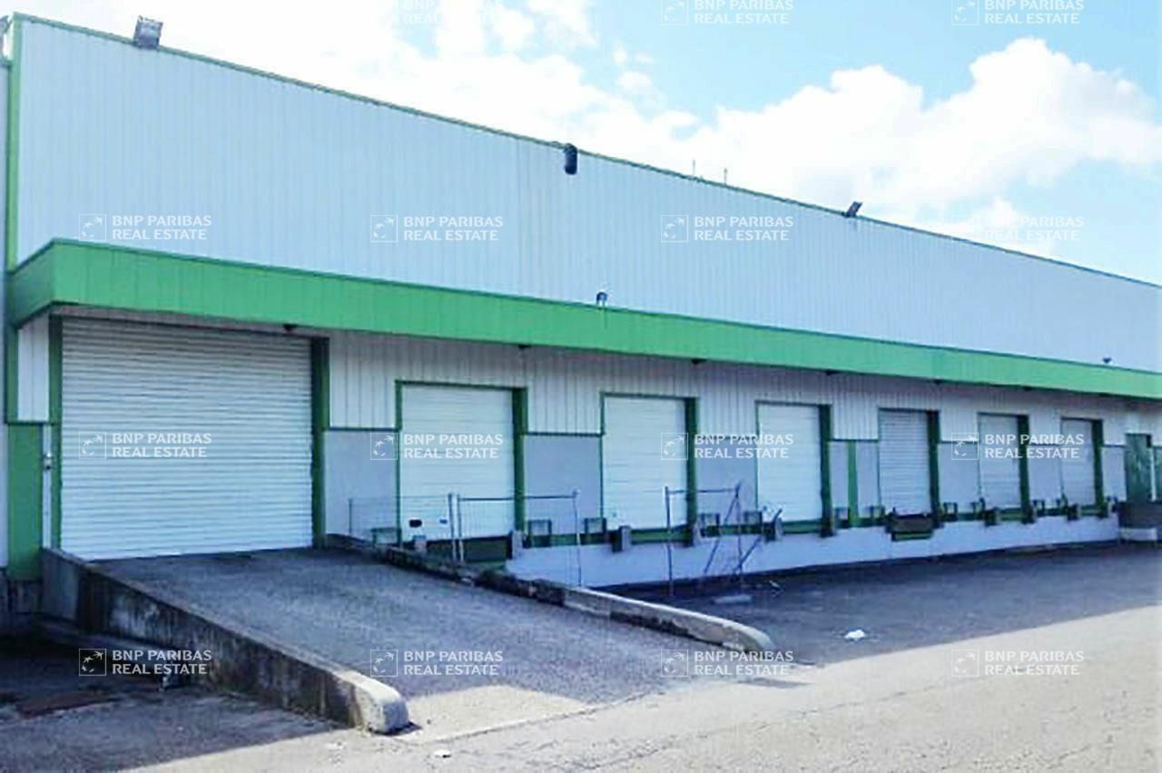 1199 m² pour ce activité en location à Genas