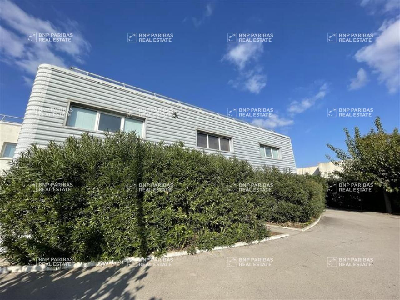 Location Bureaux 211 m² divisibles 34130 Mauguio