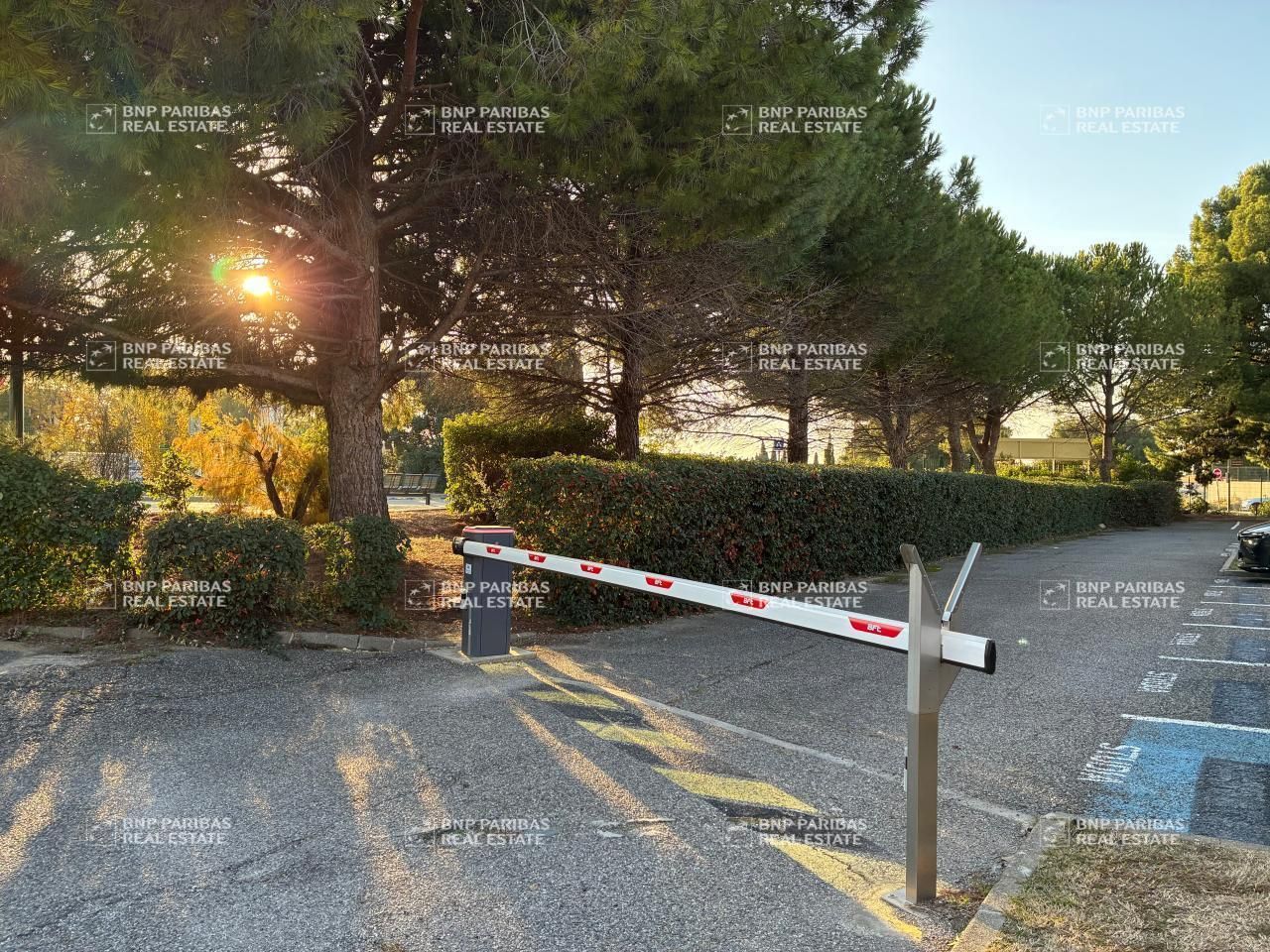 446 m² pour ce bureaux en location à Vitrolles