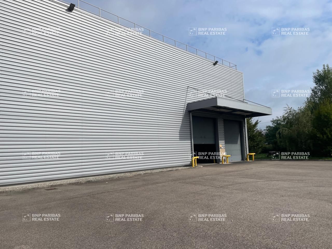 Vente Activité 3105 m² non divisibles 69630 Chaponost