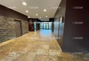 Vente bureaux Schiltigheim - Proche Strasbourg centre et gare TGV