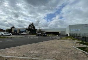 Location local d'activité avec show-room Olivet