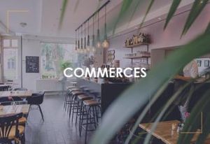 Location local commercial Saint-Hilaire-de-Chaléons - Zone Maison Bertin