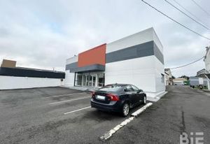 Vente local commercial Saint-Martin-Lacaussade - 2910 m²