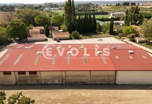Entrepôt à vendre Courthézon - Proximité A7/A9