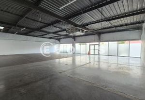 Location local commercial Mareuil-lès-Meaux - A4 / N3